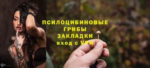 соль курить ск Новодвинск