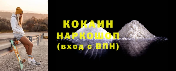 прущие грибы Ельня