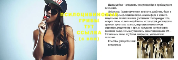 соль курить ск Новодвинск