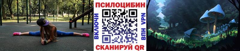 Псилоцибиновые грибы GOLDEN TEACHER  Алейск 
